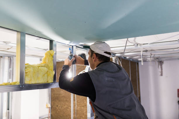 Best Insulation Removal  in Celina, TN