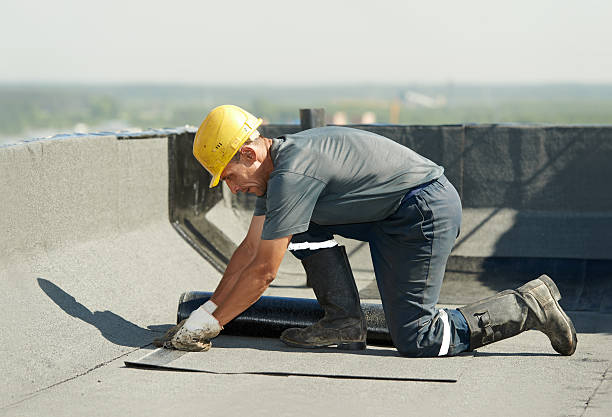 Best Local Insulation Services  in Celina, TN