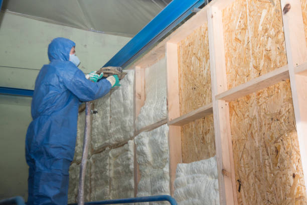 Best Home Insulation Services  in Celina, TN