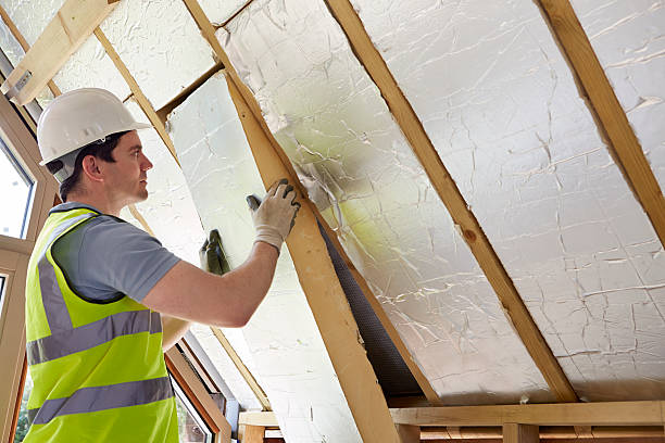 Best Insulation for New Construction  in Celina, TN